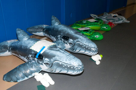 Marine Mammal Stranding Course at NCTC-2