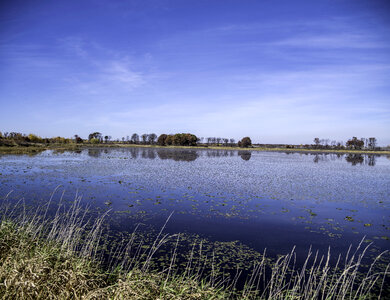Lake Landscape with blue sky overhead in Crex Meadows photo