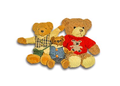 Soft toy teddy bear bear collection photo