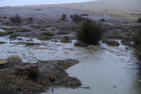 Runoff Pools on San Diego National Wildlife Refuge
