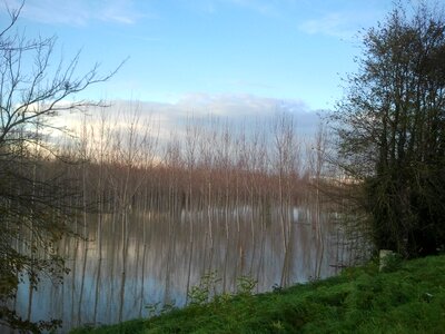 River lake forest