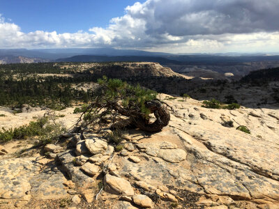 Box-Death Hollow Wilderness in Utah