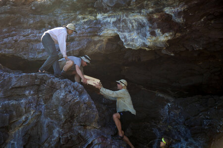 Nihoa Millerbird Translocation-1