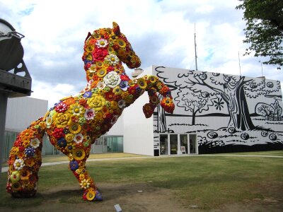 Flower horse nature outside