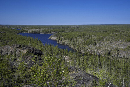 Long Blue lake in the middle of Pine Forest on the Ingraham Trail photo