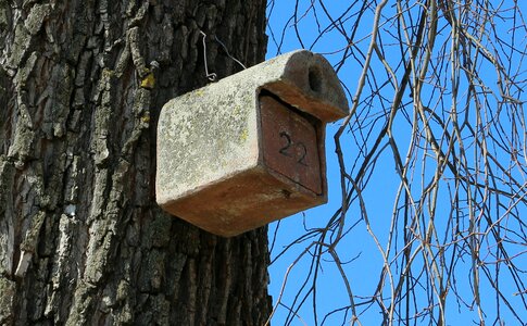 Nesting place animal welfare einflugloch photo