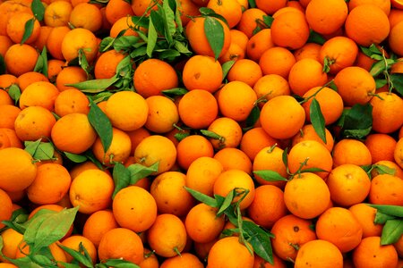 Color food fresh