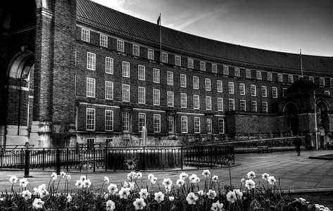 Black And White building flowers