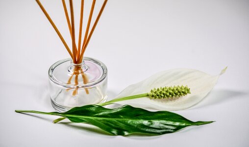 Aromatic aroma aromatherapy photo