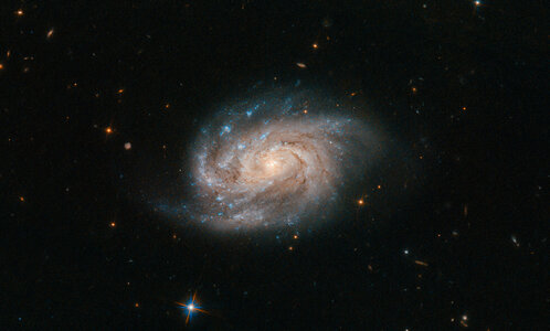 Hubble Views Galaxy photo