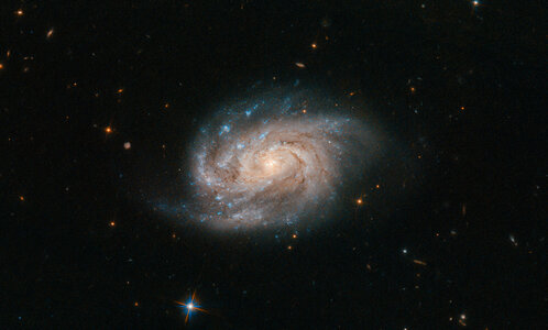 Hubble Views Galaxy