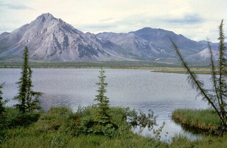 Arctic estate lake