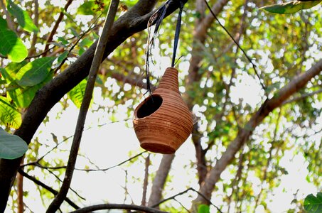 Hanging Bird House photo