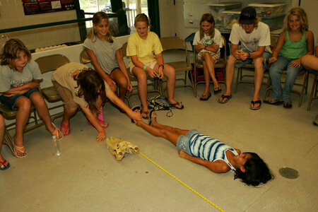 Wonder how big this gator was? photo