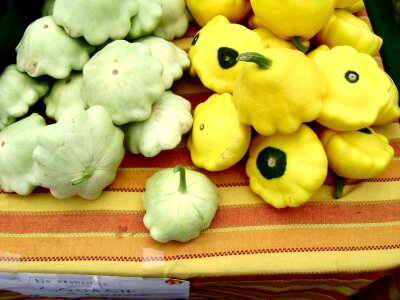 Vegetarian fresh healthy