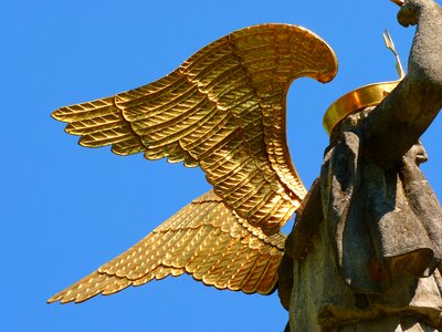 Wing gold shine