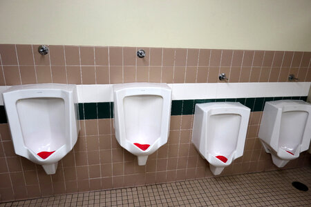 Bathroom Stalls in men's bathroom