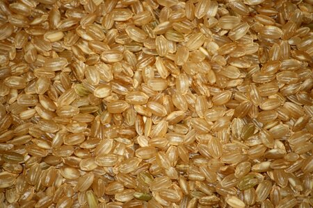 Pattern rice seed