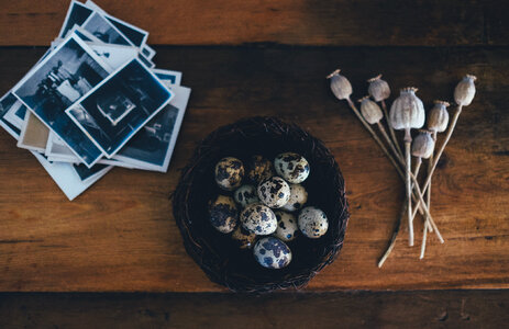 Quail Eggs in a Bowl on a Wooden Background photo
