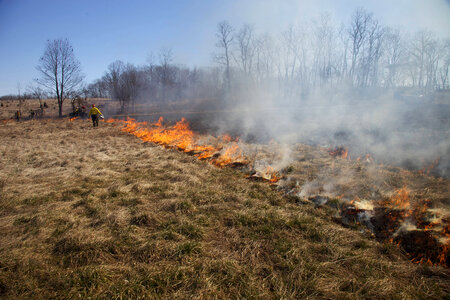 Firefighter torching grass in field-3
