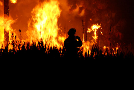 Wildfire-2