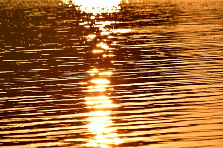 Horizon ripple sunset photo