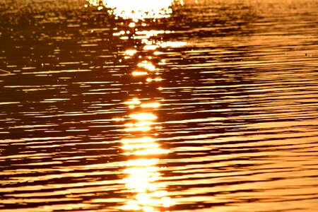 Horizon ripple sunset