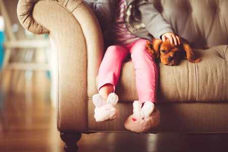 Small Girl Sitting with her Dog on a Sofa photo