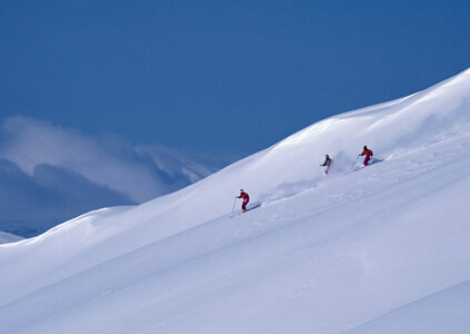 skier skiing on fresh powder snow photo