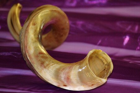 Antelope musical instrument africa