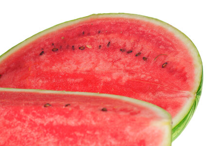 watermelon photo