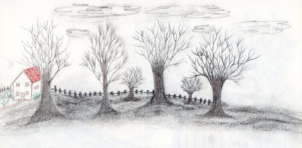 Hand drawn landscape and trees photo
