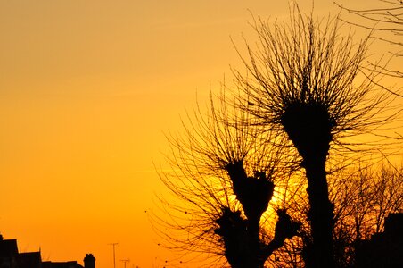 Romantic golden summer