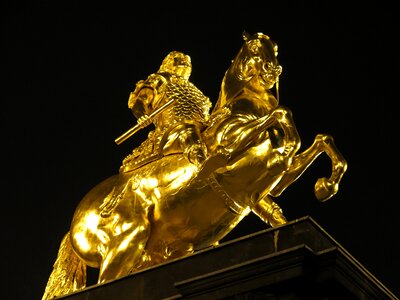 Reiter horse gold photo