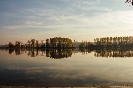 Trees lakeside calm photo