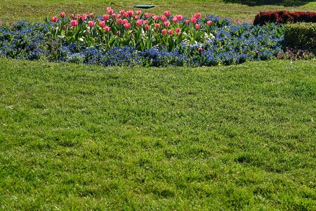 Landscape grass field