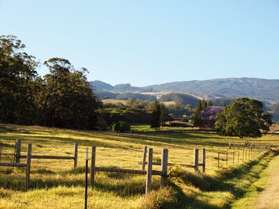 Maui nature landscape