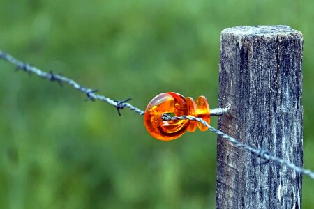 Barbed Wire daylight fence photo