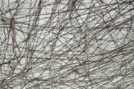 Concrete entwine plant