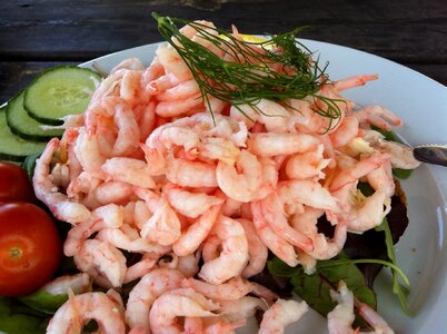 Shrimp sandwich bread mat photo