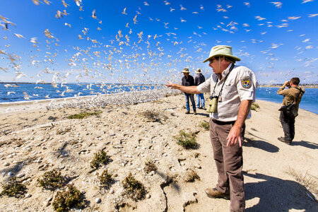 Employee explains shorebird nesting area to visitors