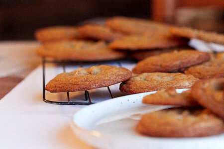 Baked Cookies photo