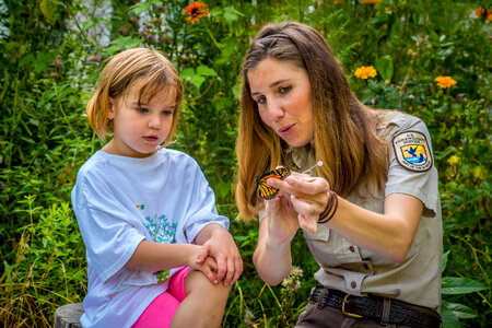 FWS employee shows child where to tag a monarch-5