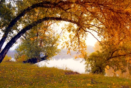Agriculture outdoors environment