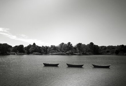 Rowing boats lake boat photo