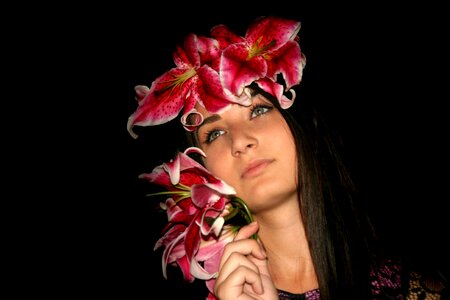 Lily flower beauty