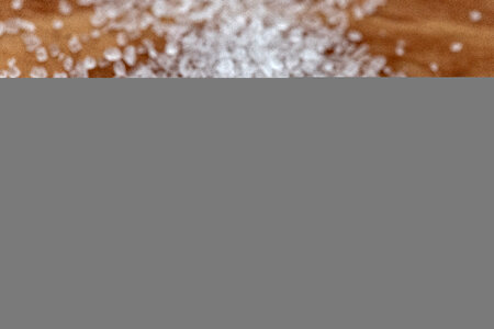 Salt Crystals Free Photo photo