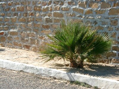 Tunisia away stone wall