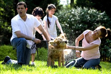 Family involvement labrador