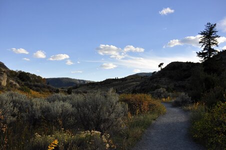 Yellowstone National Park photo